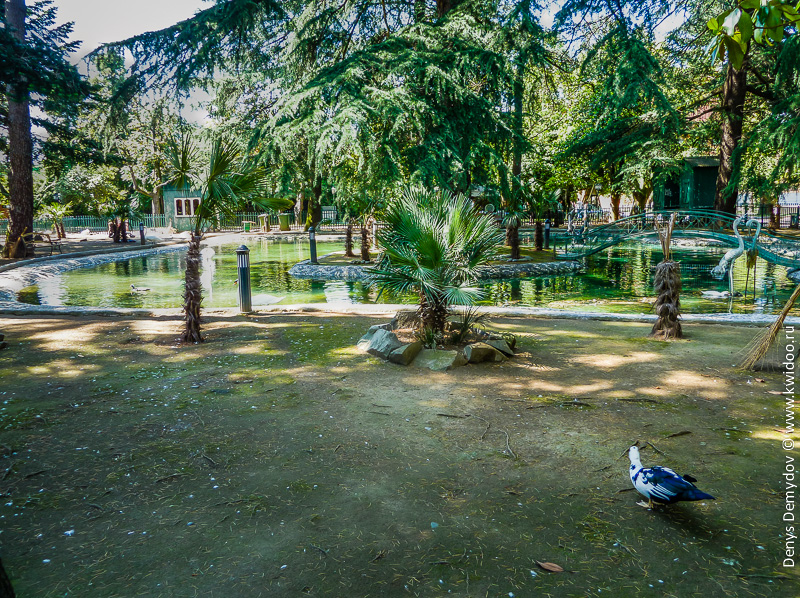 Парк города Батуми