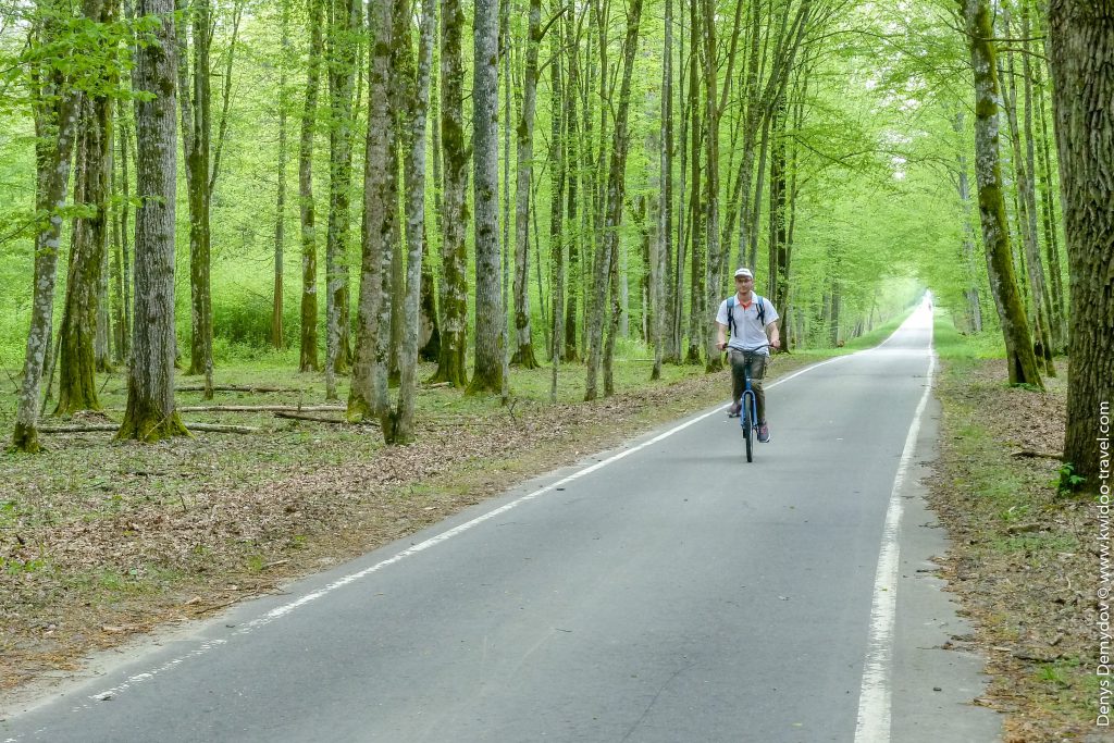 Туристы могут съездить в польскую часть заповедника на велосипеде