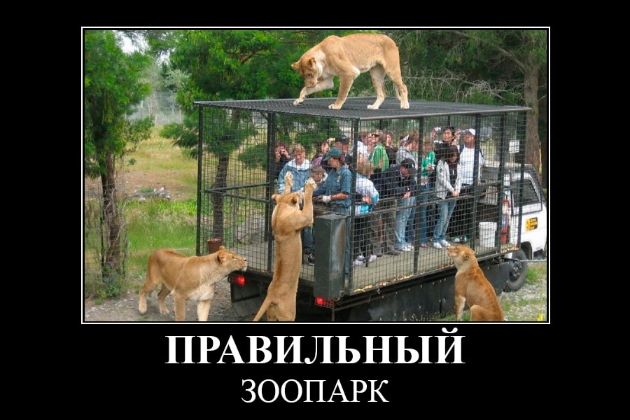 Демотиватор "Правильный зоопарк"